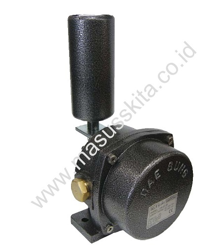 Belt Sway Switch DBSS-20 U / 082224225165