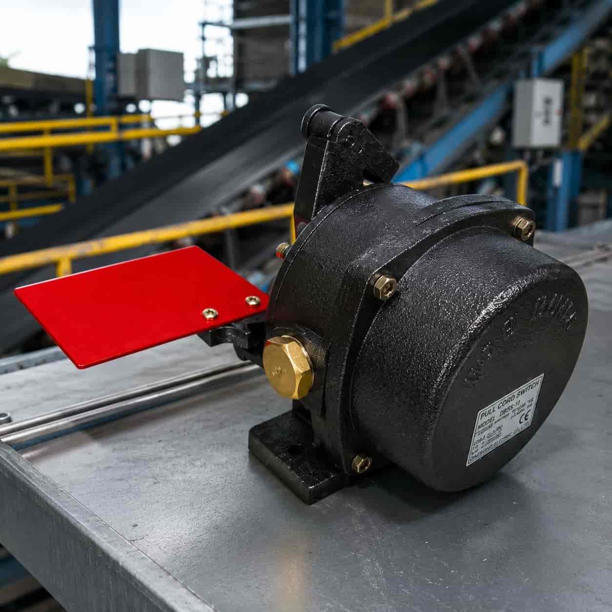 safety pull cord switch